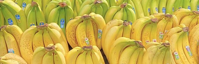ombre banana display