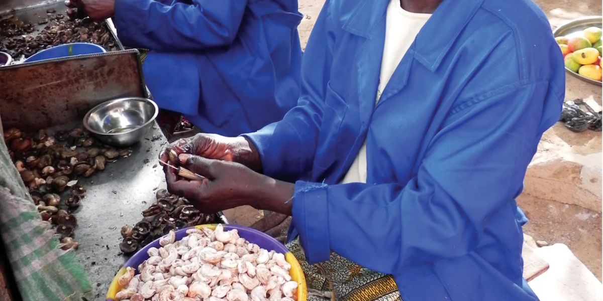 Cashew Processing